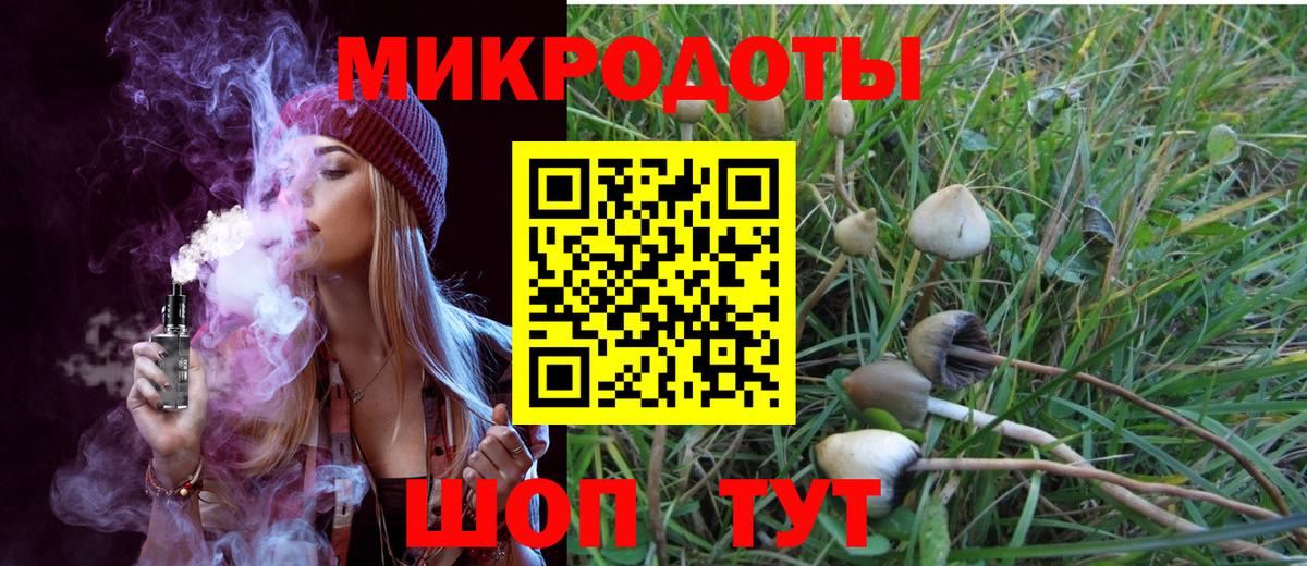 Кашира  Псилоцибиновые грибы Psilocybe  Вход с VPN 